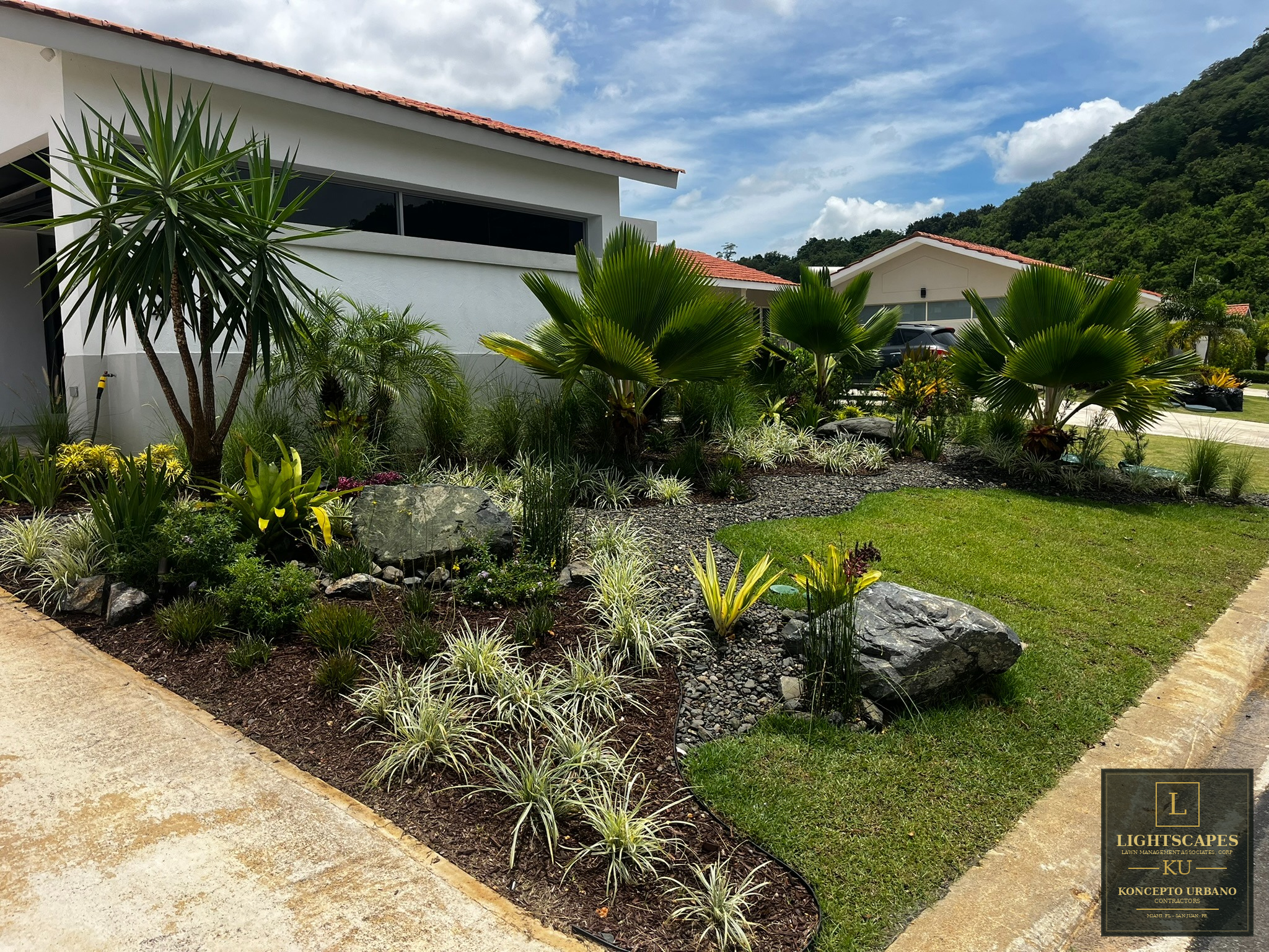 Completed residential landscape after professional renovation and lighting installation